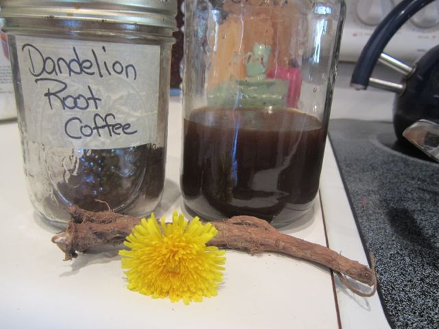 Dandelion root coffee
