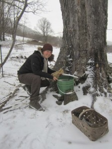 Taylor checking the frozen harvest!