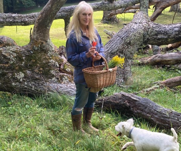 Holly in front of fallen giants with acorn basket